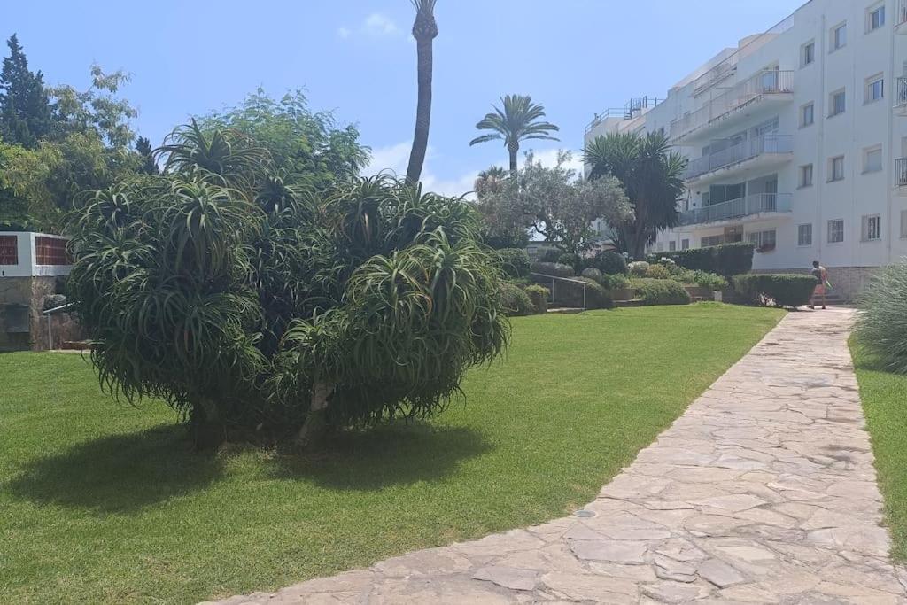 Apartamento 1ª Linea De Playa Alicante Bagian luar foto